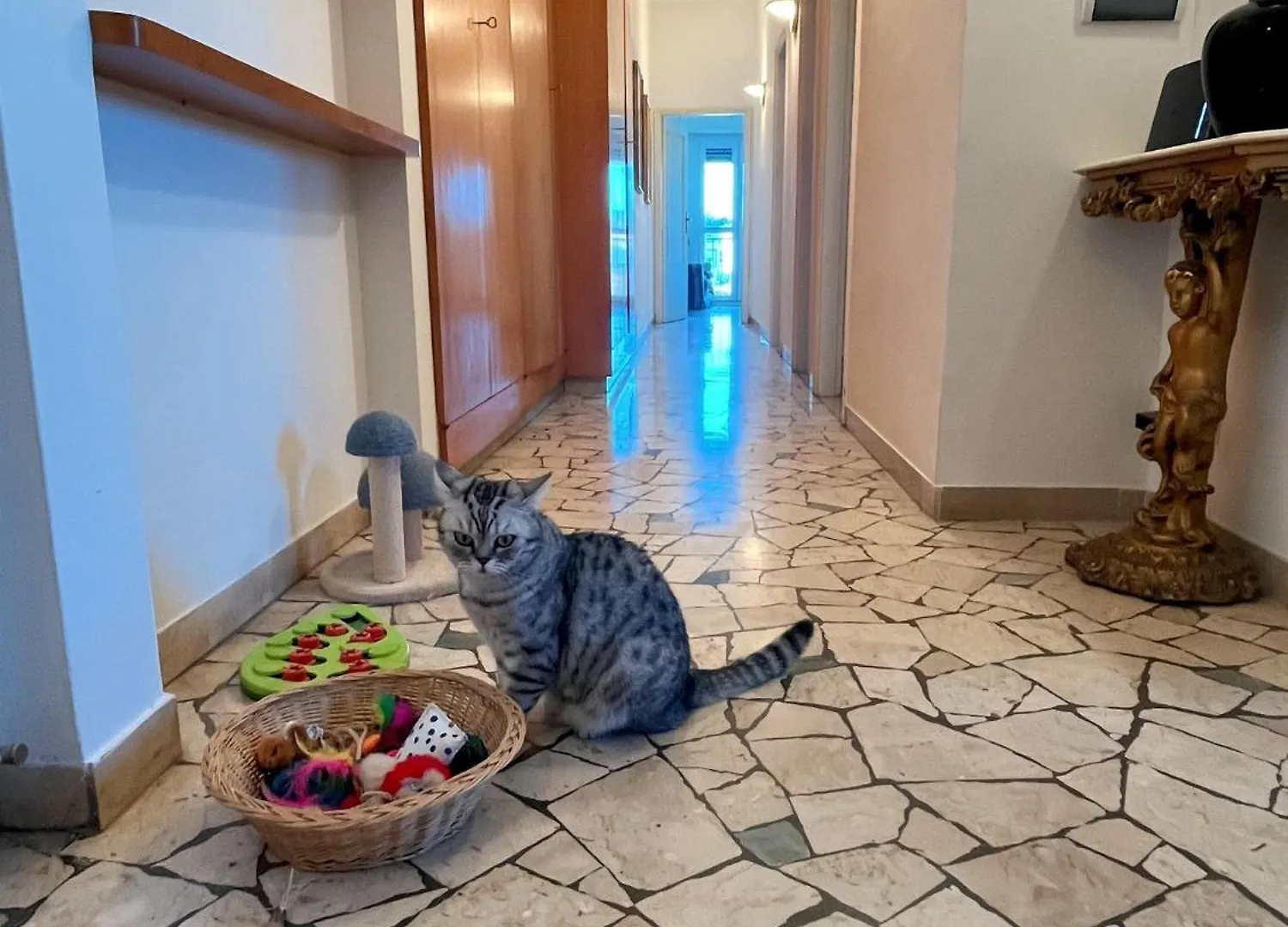 Homestay Stanza Singola In Appartamento Condiviso Florence